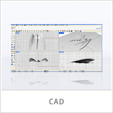 CAD